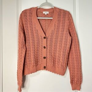 LOFT Women's Button-Up Cardigan Medium Cotton Rose Blush Pink